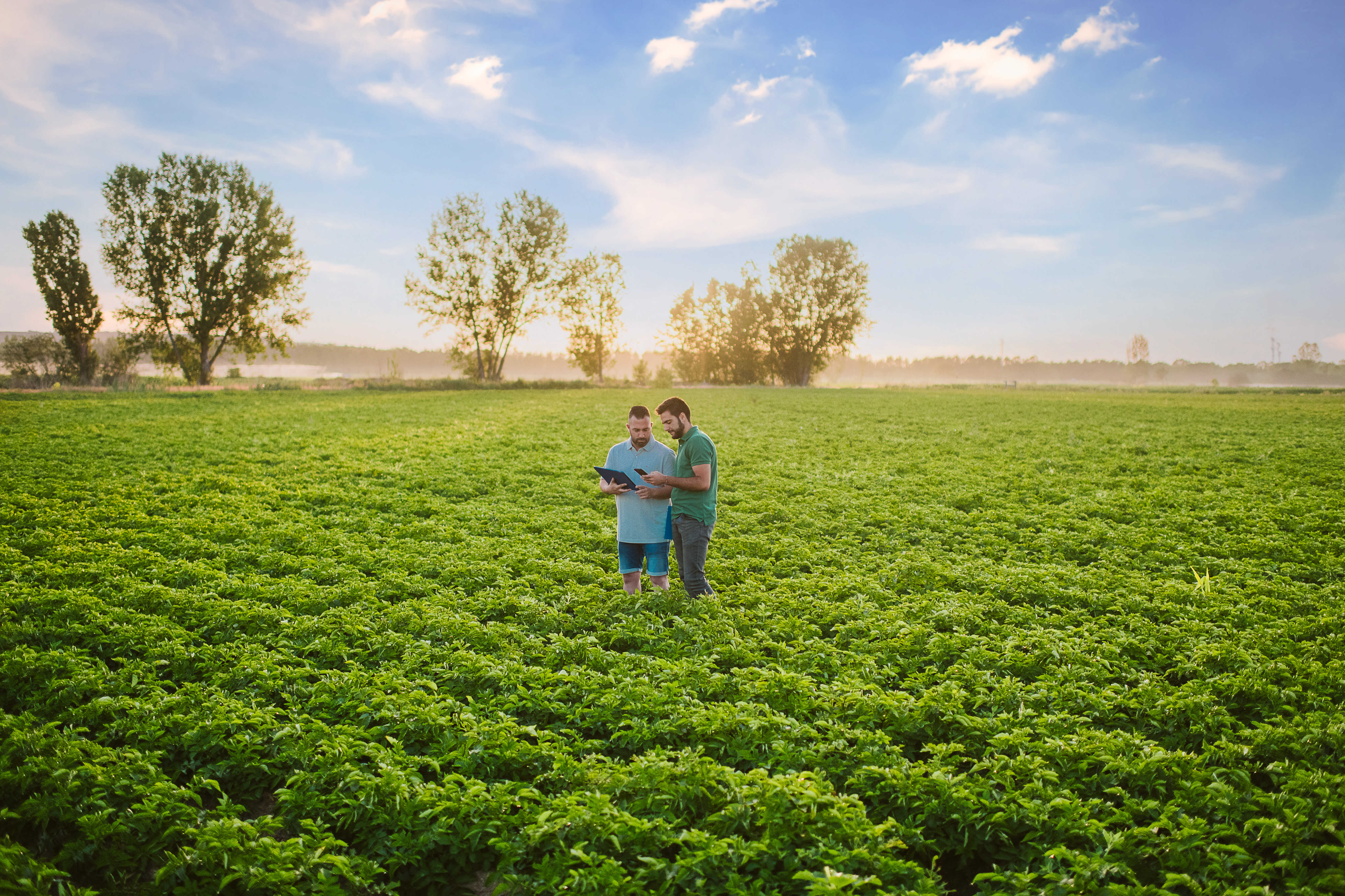 PepsiCo anunță un nou obiectiv pentru 2030: extinderea practicilor de agricultură regenerabilă pe 7 milioane acri (2,8 milioane hectare)